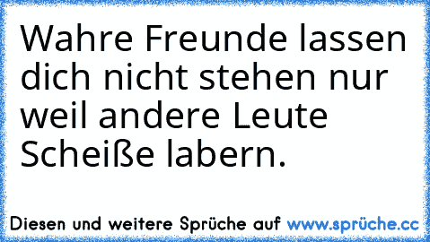 Wahre Freunde lassen dich nicht stehen nur weil andere Leute Scheiße labern.