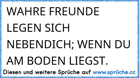 WAHRE FREUNDE LEGEN SICH NEBEN
DICH; WENN DU AM BODEN LIEGST.
♥