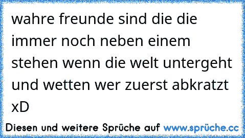 wahre freunde sind die die immer noch neben einem stehen wenn die welt untergeht und wetten wer zuerst abkratzt xD