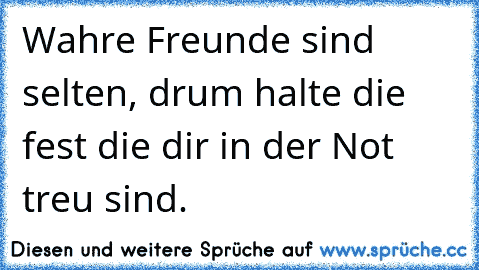 Wahre Freunde sind selten, drum halte die fest die dir in der Not treu sind.