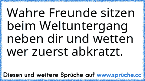 Wahre Freunde sitzen beim Weltuntergang neben dir und wetten wer zuerst abkratzt.♥