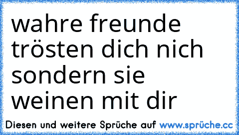 wahre freunde trösten dich nich sondern sie weinen mit dir