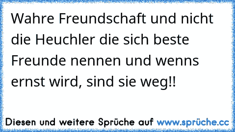 Wahre Freundschaft und nicht die Heuchler die sich beste Freunde nennen und wenns ernst wird, sind sie weg!!