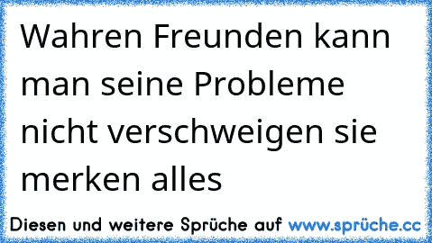 Wahren Freunden kann man seine Probleme nicht verschweigen sie merken alles
♥