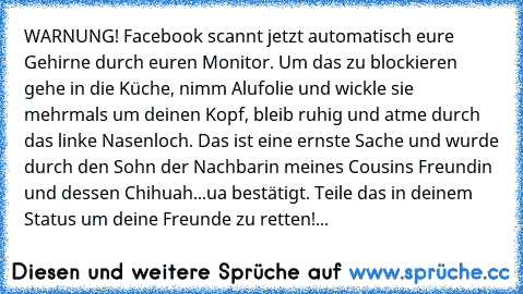 WARNUNG! Facebook scannt jetzt automatisch eure Gehirne durch euren Monitor. Um das zu blockieren gehe in die Küche, nimm Alufolie und wickle sie mehrmals um deinen Kopf, bleib ruhig und atme durch das linke Nasenloch. Das ist eine ernste Sache und wurde durch den Sohn der Nachbarin meines Cousins Freundin und dessen Chihuah...ua bestätigt. Teile das in deinem Status um deine Freunde zu retten!...