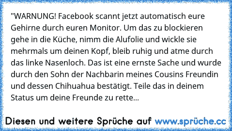 "WARNUNG! Facebook scannt jetzt automatisch eure Gehirne durch euren Monitor. Um das zu blockieren gehe in die Küche, nimm die Alufolie und wickle sie mehrmals um deinen Kopf, bleib ruhig und atme durch das linke Nasenloch. Das ist eine ernste Sache und wurde durch den Sohn der Nachbarin meines Cousins Freundin und dessen Chihuahua bestätigt. Teile das in deinem Status um deine Freunde zu rette...