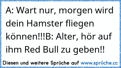 A: Wart nur, morgen wird dein Hamster fliegen können!!!
B: Alter, hör auf ihm Red Bull zu geben!!