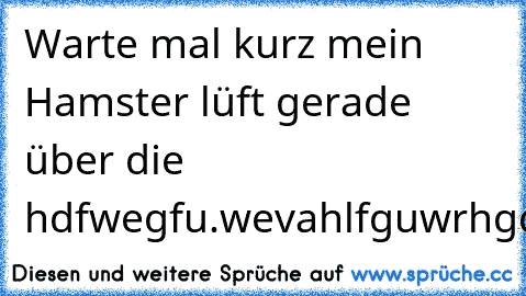 Warte mal kurz mein Hamster lüft gerade über die hdfwegfu.wevahlfguwrhgqufguwrhqugfr.