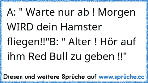 A: " Warte nur ab ! Morgen WIRD dein Hamster fliegen!!"
B: " Alter ! Hör auf ihm Red Bull zu geben !!"