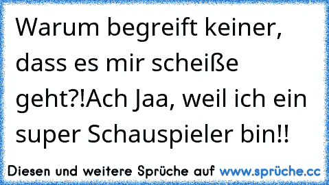 Warum begreift keiner, dass es mir scheiße geht?!
Ach Jaa, weil ich ein super Schauspieler bin!!