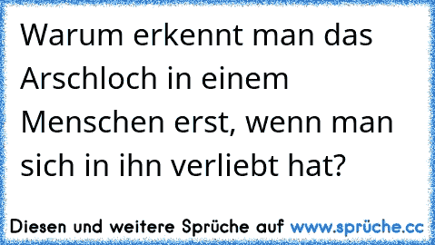 Warum erkennt man das Arschloch in einem Menschen erst, wenn man sich in ihn verliebt hat?