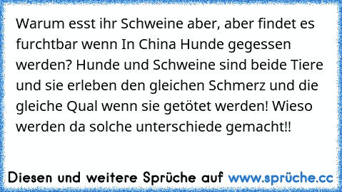 Warum esst ihr Schweine aber, aber findet es furchtbar wenn In China Hunde gegessen werden? Hunde und Schweine sind beide Tiere und sie erleben den gleichen Schmerz und die gleiche Qual wenn sie getötet werden! Wieso werden da solche unterschiede gemacht!!