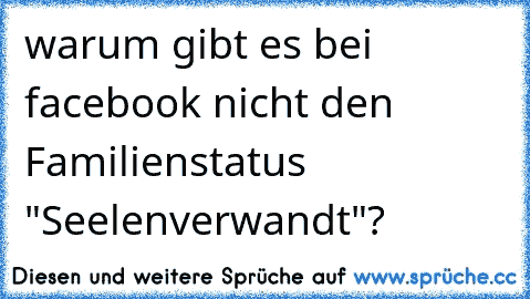 warum gibt es bei facebook nicht den Familienstatus "Seelenverwandt"?