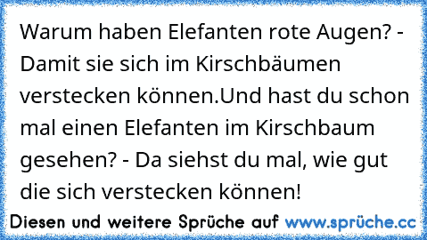 Warum haben Elefanten rote Augen? - Damit sie sich im Kirschbäumen verstecken können.
Und hast du schon mal einen Elefanten im Kirschbaum gesehen? - Da siehst du mal, wie gut die sich verstecken können!