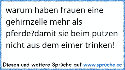 warum haben frauen eine gehirnzelle mehr als pferde?
damit sie beim putzen nicht aus dem eimer trinken!