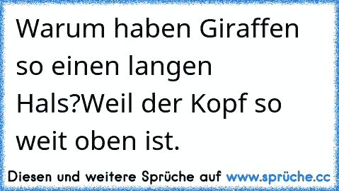 Warum haben Giraffen so einen langen Hals?
Weil der Kopf so weit oben ist.