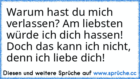 Warum hast du mich verlassen? Am liebsten würde ich dich hassen! Doch das kann ich nicht, denn ich liebe dich!