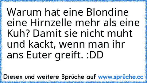 Warum hat eine Blondine eine Hirnzelle mehr als eine Kuh? Damit sie nicht muht und kackt, wenn man ihr ans Euter greift. :DD