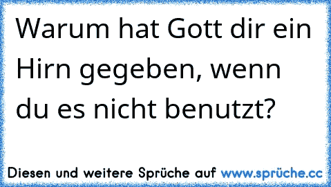 Warum hat Gott dir ein Hirn gegeben, wenn du es nicht benutzt?