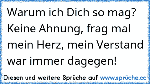 Warum ich Dich so mag? Keine Ahnung, frag mal mein Herz, mein Verstand war immer dagegen!  ♥