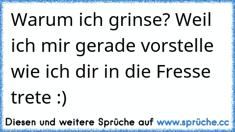 Warum ich grinse? Weil ich mir gerade vorstelle wie ich dir in die Fresse trete :)