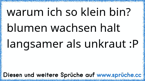 warum ich so klein bin? blumen wachsen halt langsamer als unkraut :P