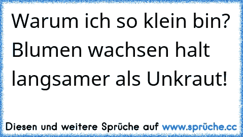 Warum ich so klein bin? Blumen wachsen halt langsamer als Unkraut! ☆