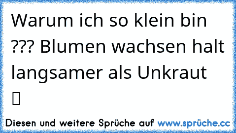 Warum ich so klein bin ??? Blumen wachsen halt langsamer als Unkraut  ツ