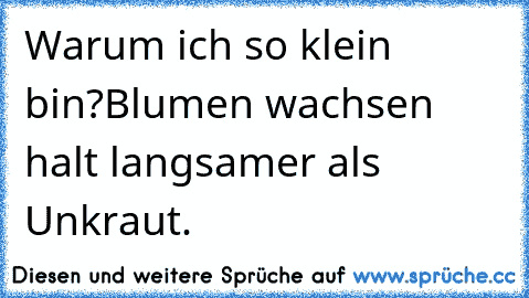 Warum ich so klein bin?
Blumen wachsen halt langsamer als Unkraut.