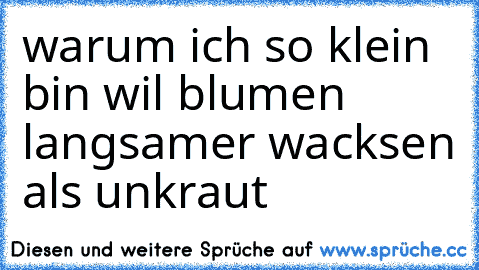 warum ich so klein bin wil blumen langsamer wacksen als unkraut