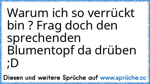 Warum ich so verrückt bin ? Frag doch den sprechenden Blumentopf da drüben ;D