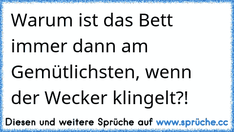 Warum ist das Bett immer dann am Gemütlichsten, wenn der Wecker klingelt?!