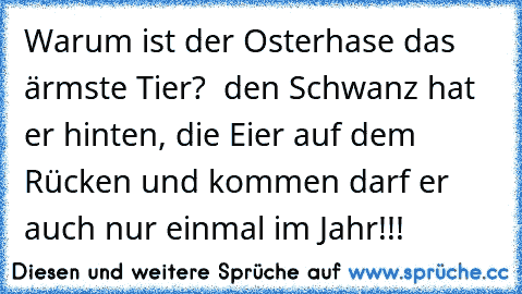 Warum ist der Osterhase das ärmste Tier?  den Schwanz hat er hinten, die Eier auf dem Rücken und kommen darf er auch nur einmal im Jahr!!!