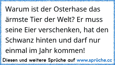 Warum ist der Osterhase das ärmste Tier der Welt? Er muss seine Eier verschenken, hat den Schwanz hinten und darf nur einmal im Jahr kommen!