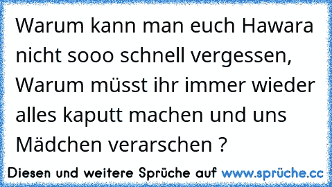 Warum kann man euch Hawara nicht sooo schnell vergessen, Warum müsst ihr immer wieder alles kaputt machen und uns Mädchen verarschen ?