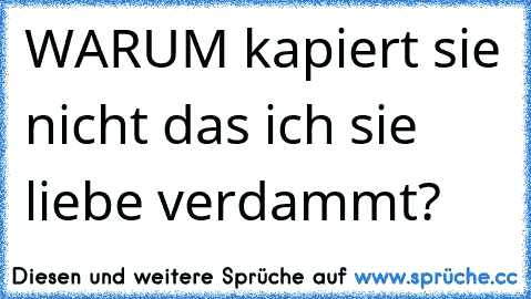 WARUM kapiert sie nicht das ich sie liebe verdammt?