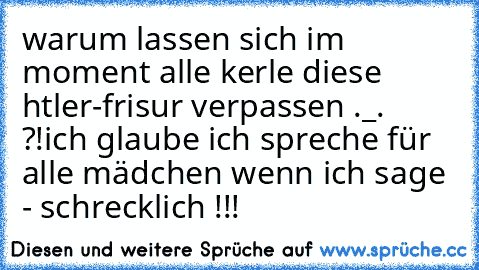 warum lassen sich im moment alle kerle diese htler-frisur verpassen ._. ?!
ich glaube ich spreche für alle mädchen wenn ich sage - schrecklich !!!