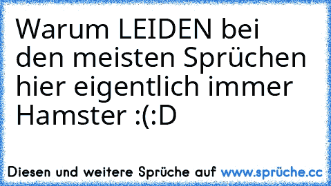 Warum LEIDEN bei den meisten Sprüchen hier eigentlich immer Hamster :(
:D