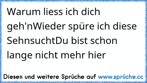 Warum liess ich dich geh'n
Wieder spüre ich diese Sehnsucht
Du bist schon lange nicht mehr hier