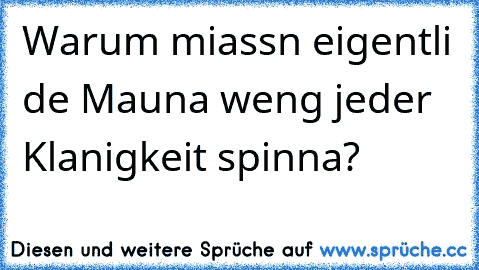 Warum miassn eigentli de Mauna weng jeder Klanigkeit spinna?