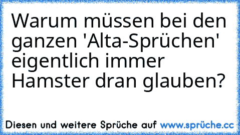 Warum müssen bei den ganzen 'Alta-Sprüchen' eigentlich immer Hamster dran glauben?