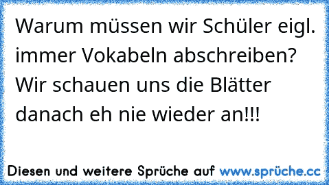 Warum müssen wir Schüler eigl. immer Vokabeln abschreiben? Wir schauen uns die Blätter danach eh nie wieder an!!!