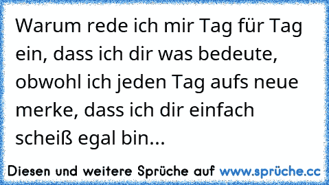 Warum rede ich mir Tag für Tag ein, dass ich dir was bedeute, obwohl ich jeden Tag aufs neue merke, dass ich dir einfach scheiß egal bin... 