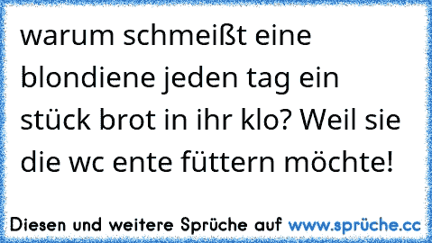 warum schmeißt eine blondiene jeden tag ein stück brot in ihr klo? Weil sie die wc ente füttern möchte!