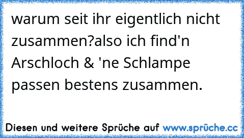 warum seit ihr eigentlich nicht zusammen?
also ich find
'n Arschloch & 'ne Schlampe passen bestens zusammen.