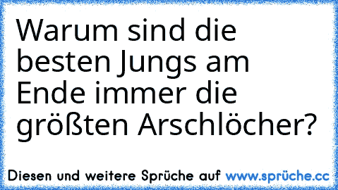 Warum sind die besten Jungs am Ende immer die größten Arschlöcher? 