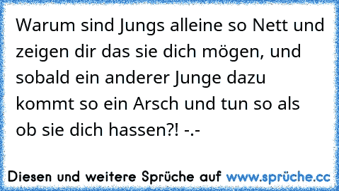 Warum sind Jungs alleine so Nett und zeigen dir das sie dich mögen, und sobald ein anderer Junge dazu kommt so ein Arsch und tun so als ob sie dich hassen?! -.-