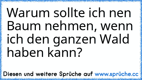 Warum sollte ich nen Baum nehmen, wenn ich den ganzen Wald haben kann?