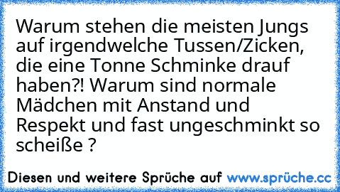 Warum stehen die meisten Jungs auf irgendwelche Tussen/Zicken, die eine Tonne Schminke drauf haben?! Warum sind normale Mädchen mit Anstand und Respekt und fast ungeschminkt so scheiße ?