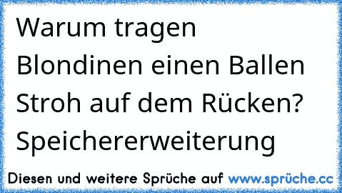 Warum tragen Blondinen einen Ballen Stroh auf dem Rücken? Speichererweiterung